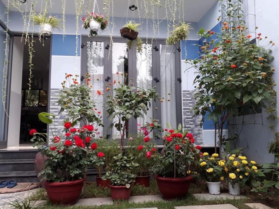 Cherry Garden Homestay Хой Ан Екстериор снимка