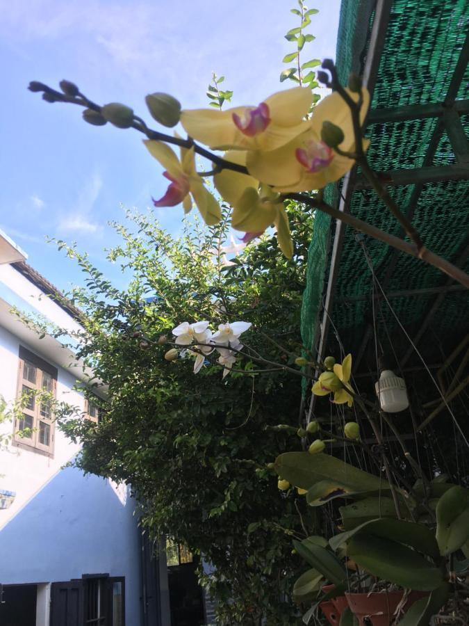 Cherry Garden Homestay Хой Ан Екстериор снимка