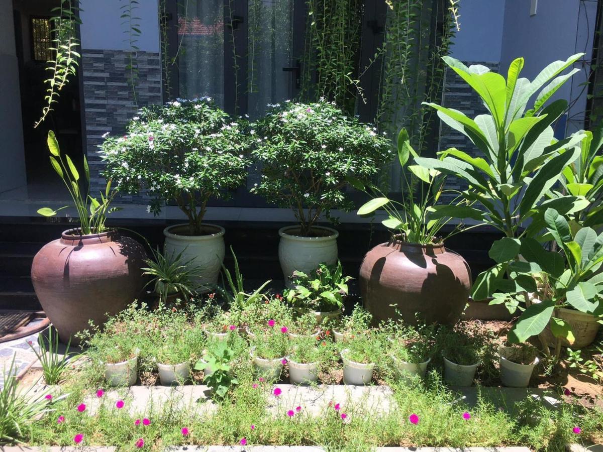 Cherry Garden Homestay Хой Ан Екстериор снимка